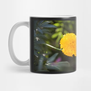 Marigold III Mug